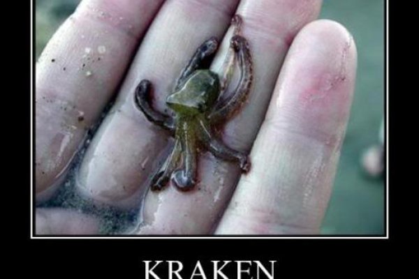 Kraken onion сайта