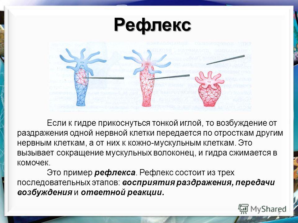 Как сделать заказ на кракен